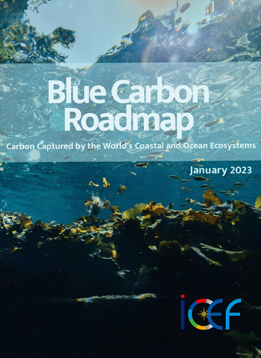 “Blue Carbon”